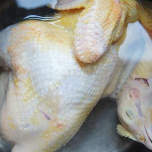 Cách làm cơm gà Quảng Nam