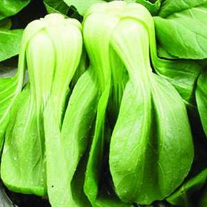 Cách làm cơm gà sốt teriyaki