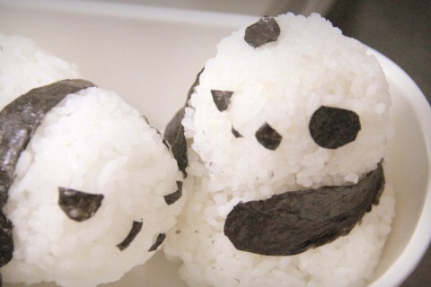 Cơm nắm onigiri gấu trúc