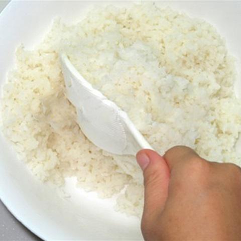 Cách làm cơm nắm tôm tươi