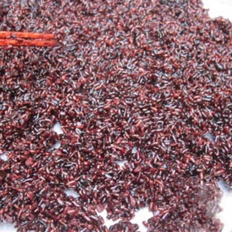 Cách làm cơm rượu nếp cẩm