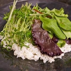 Cách làm cơm trộn cá hồi