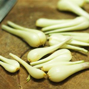 Cách làm củ kiệu ngâm giấm ngày Tết