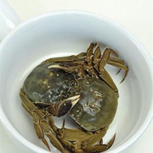 Cách làm cua đồng nấu cháo