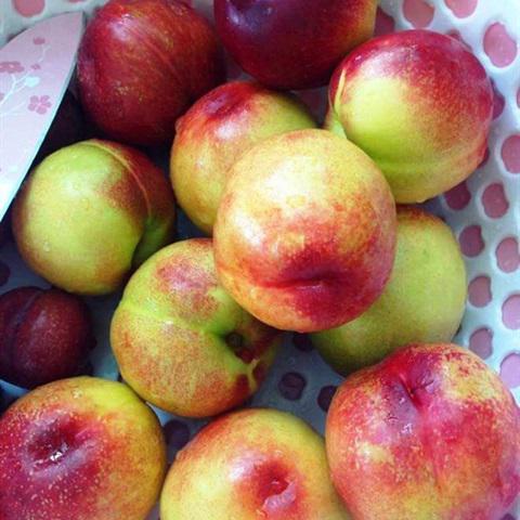 Cách nấu đào ngâm nước đường