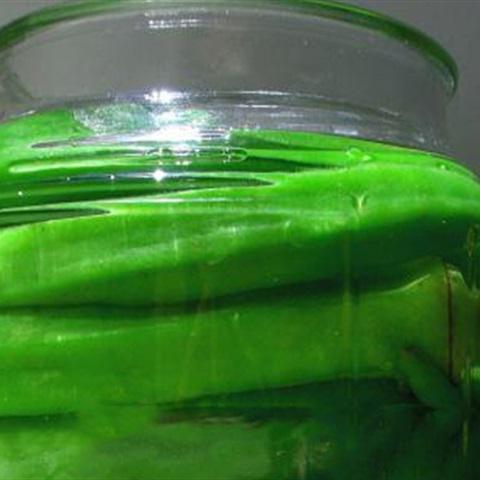 Cách làm đậu bắp ngâm giấm