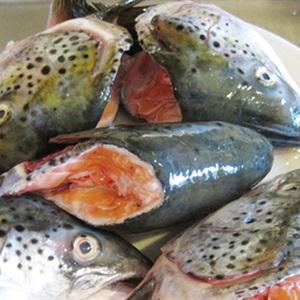 Cách làm đầu cá hồi sốt cay