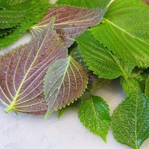 Cách làm đậu hũ kho cà tím ngon