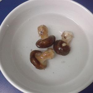 Cách làm đậu hũ kho nấm đông cô