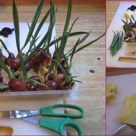 Cách làm đậu hũ non sốt thịt bằm lá tỏi