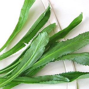 Cách làm đậu hũ sốt xì dầu