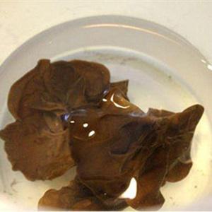 Cách làm đậu nhồi thịt sốt cà chua