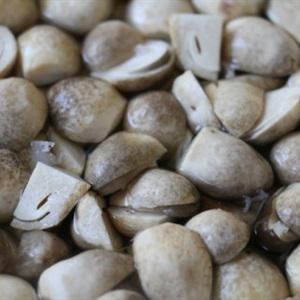 Cách làm đậu que xào nấm rơm