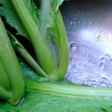 Cách làm dưa cải bẹ xanh