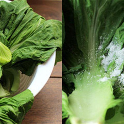 Cách làm dưa cải muối chua