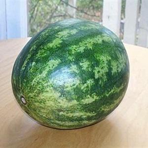 Cách làm dưa hấu halloween