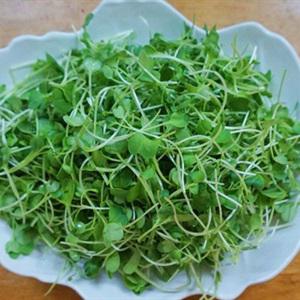 Cách làm dưa leo cuộn tôm