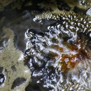 Cách làm dưa leo muối cay