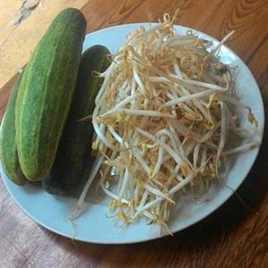 Cách làm dưa leo trộn giá đỗ