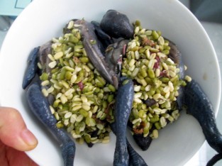 Gà ác chưng tam thất