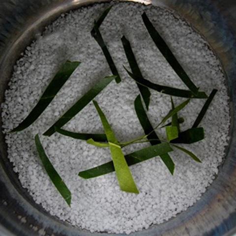 Cách làm gà hấp muối lá chanh