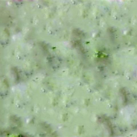 Cách làm gà nướng ướp sữa chua