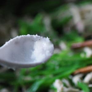 Cách làm gà xào đậu que