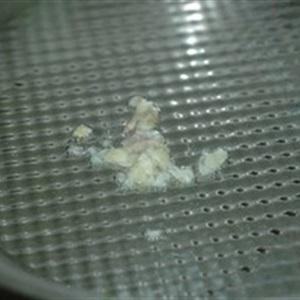 Cách làm gan xào cần tây