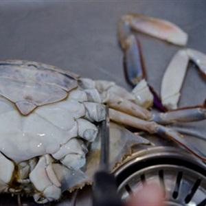 Cách làm ghẹ sốt kiểu Hàn