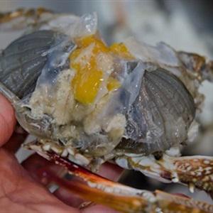 Cách làm ghẹ sốt kiểu Hàn