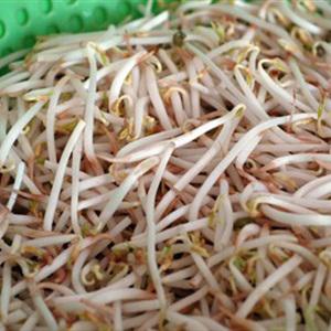 Cách làm giá hẹ xào đậu hũ