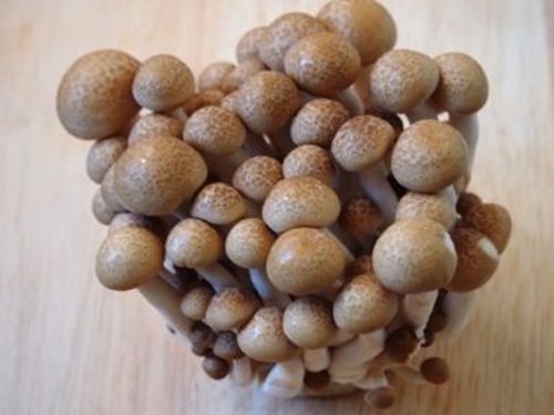 Giảm cân với chuối nhúng sô cô la tuyệt ngon