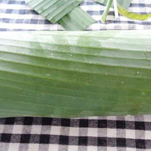 Cách làm giò lụa ngày Tết