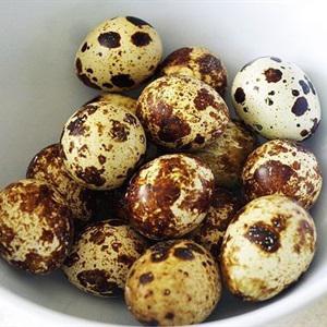 Cách làm giò sống bọc trứng cút chiên xù