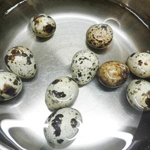 Cách làm giò sống bọc trứng cút chiên