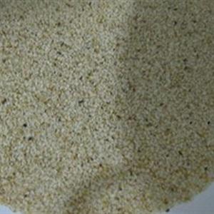 Cách làm gỏi bạch tuộc