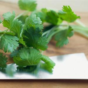 Cách làm gỏi bao tử