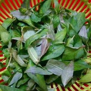 Cách làm gỏi bưởi đu đủ tôm thịt