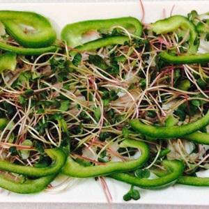 Cách làm gỏi cá hồi rau mầm ớt chuông