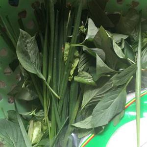 Cách làm gỏi cuốn thịt ba chỉ