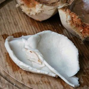 Cách làm gỏi đu đủ cùi dừa