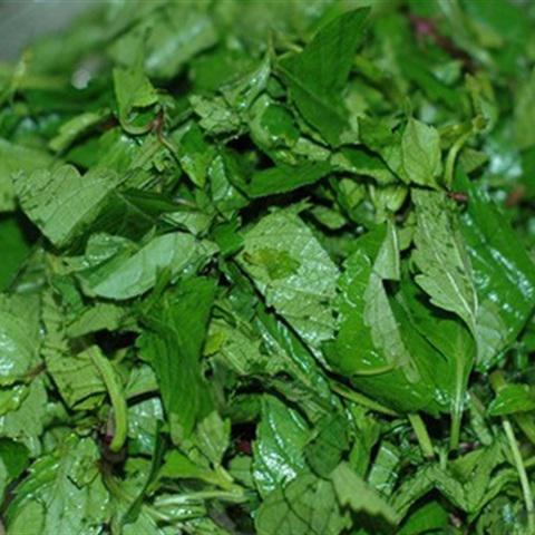 Cách làm gỏi đu đủ xanh