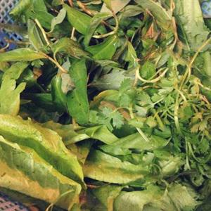 Cách làm gỏi gà rau thơm