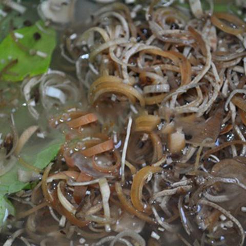 Cách làm gỏi hoa chuối trộn mực