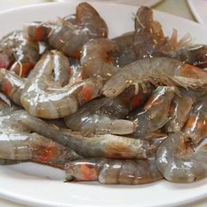 Cách làm gỏi khổ qua trộn tôm thịt