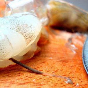 Cách làm gỏi miến hải sản