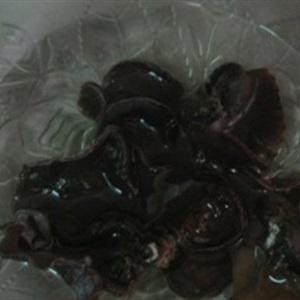 Cách làm gỏi nấm kim châm cà rốt