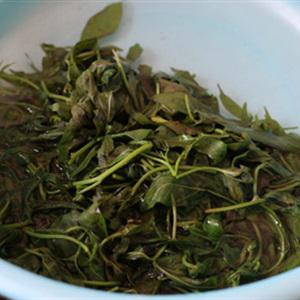 Cách làm gỏi rau lang thịt bò