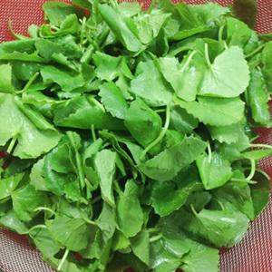 Cách làm gỏi rau má thịt bò