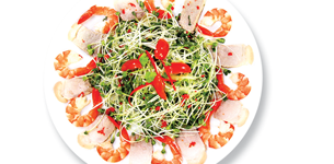 Gỏi rau mầm tôm